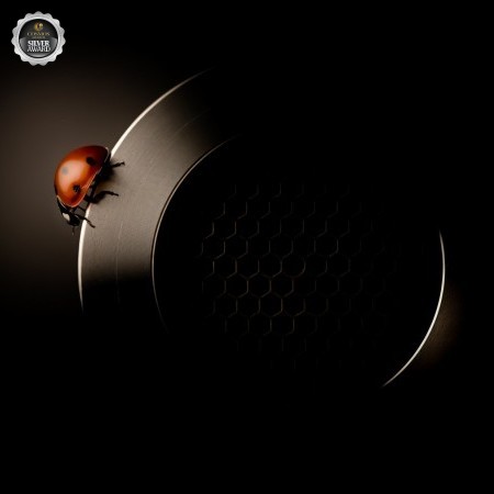 Neuba Adam  - 84/100