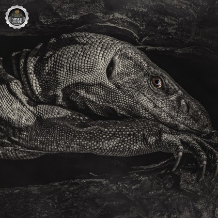 Sheth Tapan  - 83/100