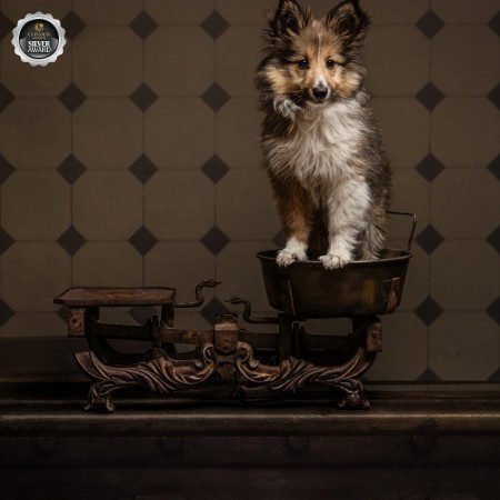 Blochwitz Stefanie  - 81/100